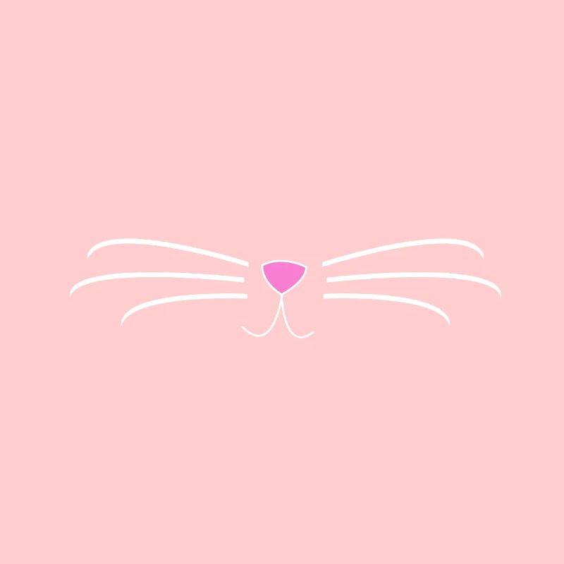 Chat, chat, cadeau, propriétaire de chat