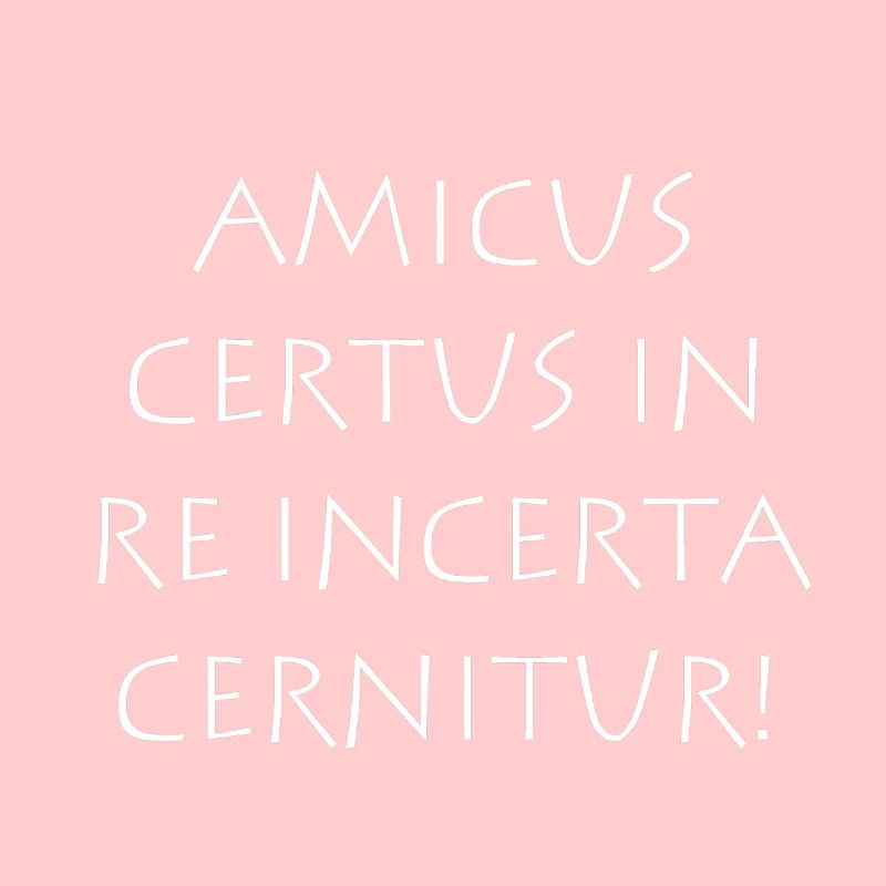 Amicus certus in re incerta cernitur