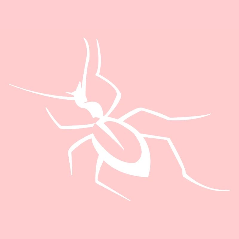 Insekt