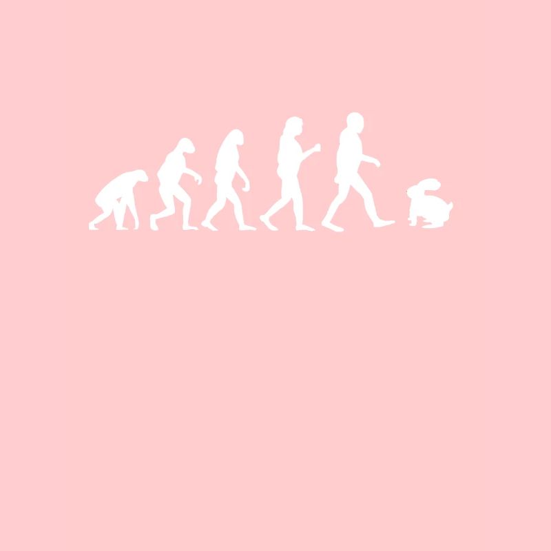 Lapin drôle lapin évolution