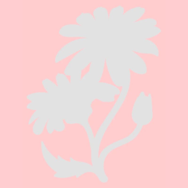 Einfache Gänseblümchen