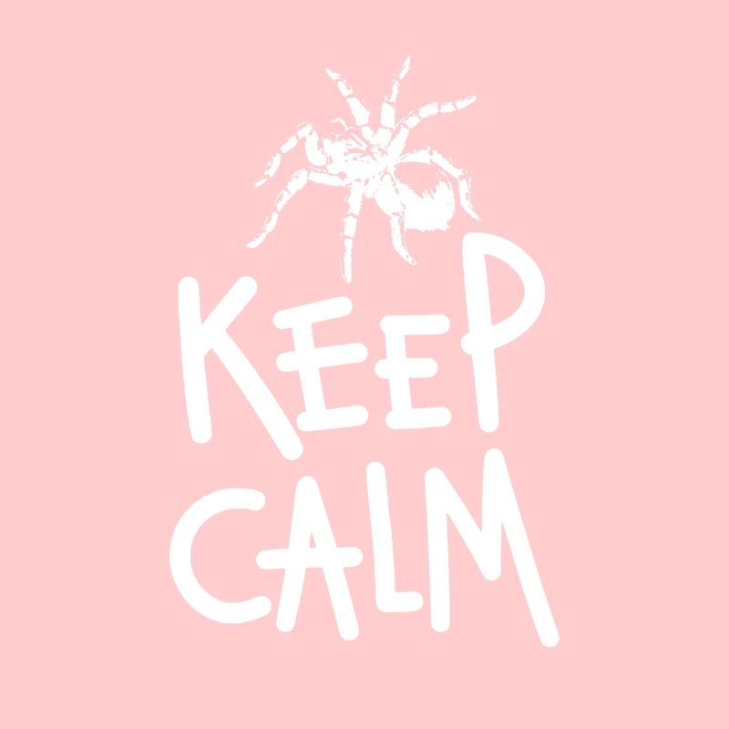 Keep Calm Tarentule Araignée blanc design horizontal