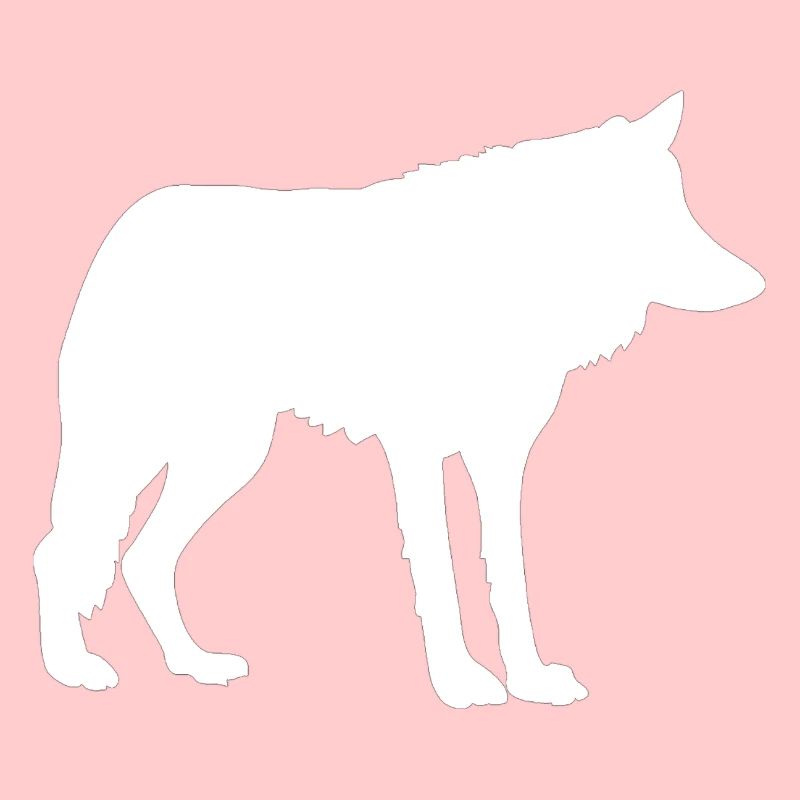 Wolf Wolf Pack Wolf Pack