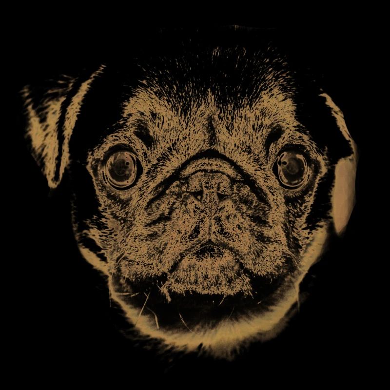 Mops