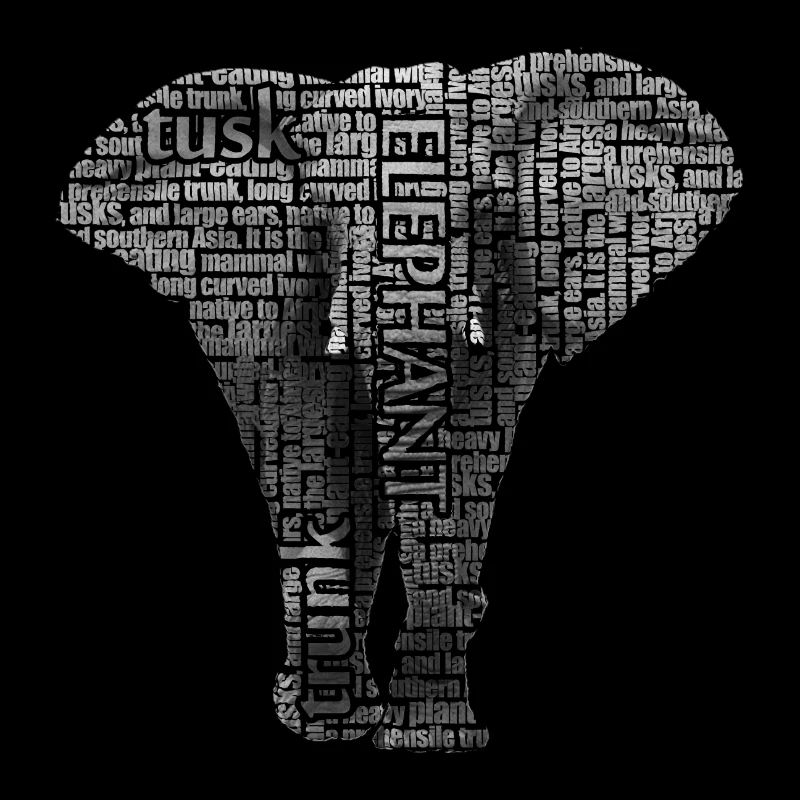 Éléphant afrique