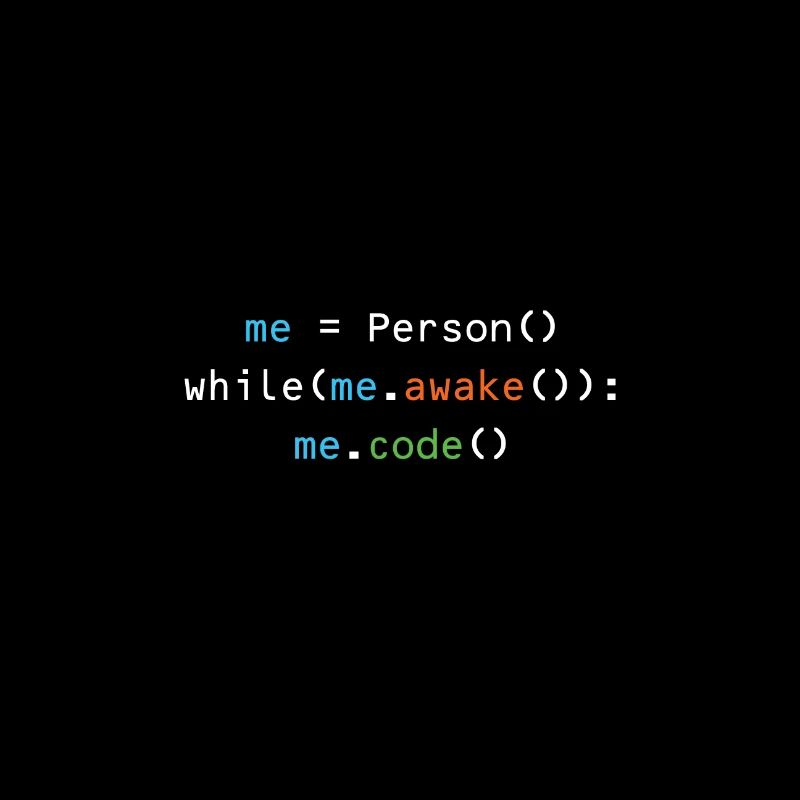 Programmer