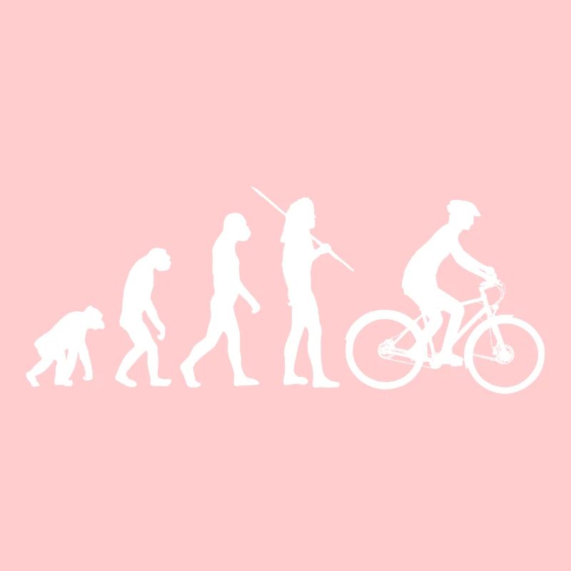 Evolution - bicycle