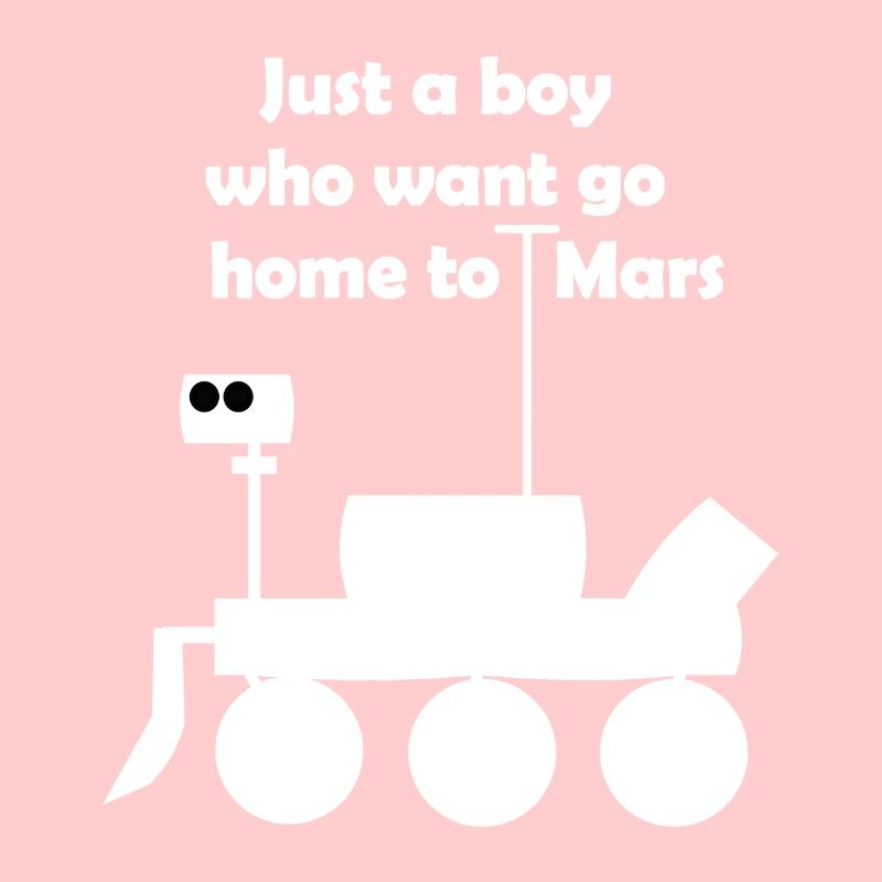 Excursion into space