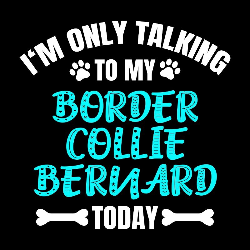 Border Collie Bernard