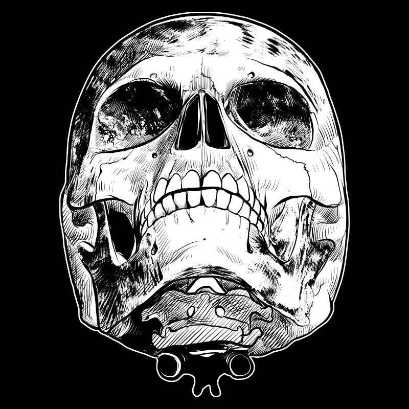 Skull skull bones