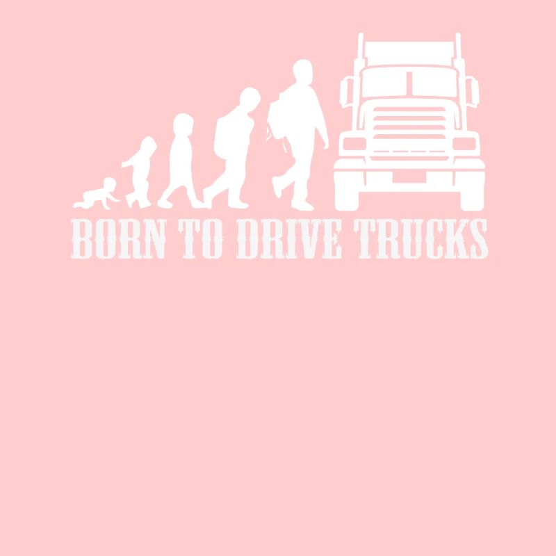 LKW Evolution Trucker Geschenk