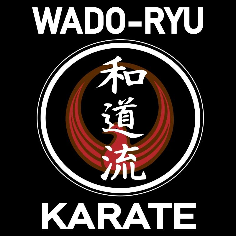 The cool Wado-ryu martial arts shirt