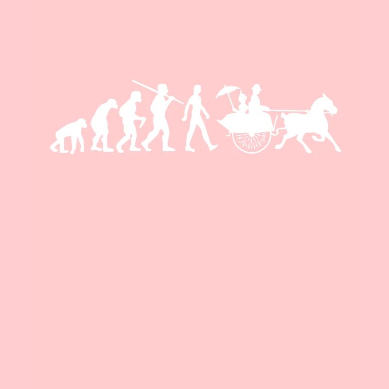 Carriage Evolution Coachman