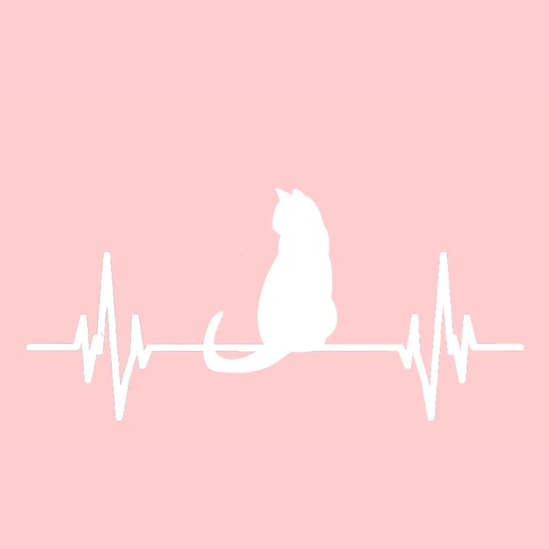 Chat idée cadeau chat chats