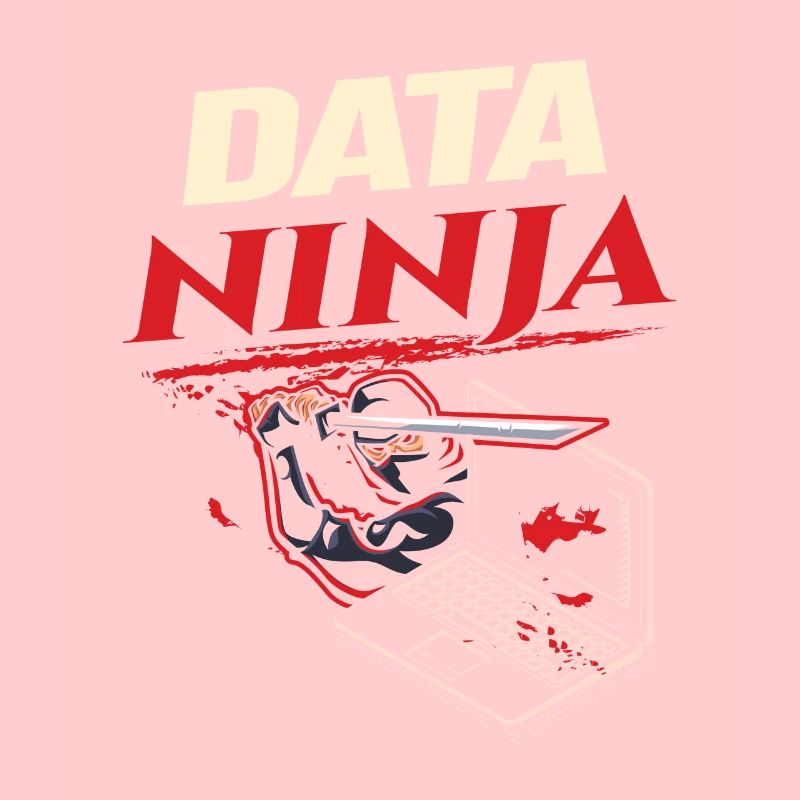 Data Ninja computer programming coder