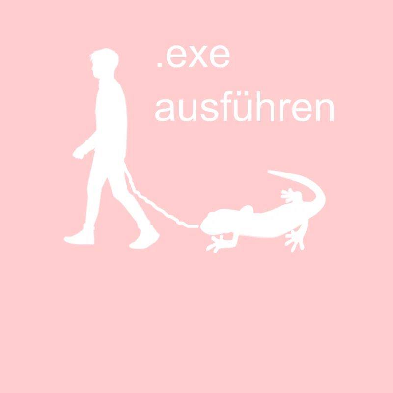 Computer Nerd Software Exe Exécution