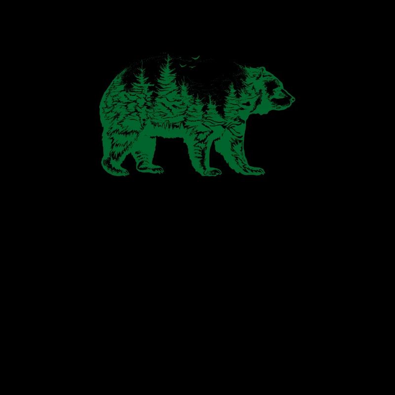 Bear Brown Bear Nature