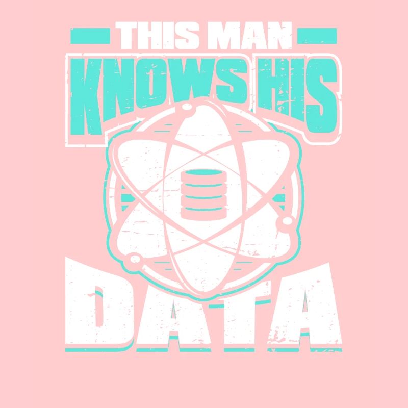 Ingénieur scientifique Big Data Engineer Scientist Analyst