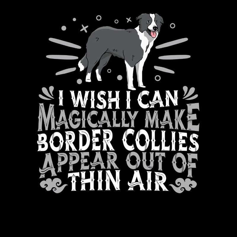 Border Collie Hund