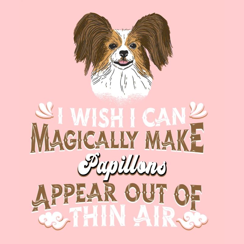 Papillon Chien