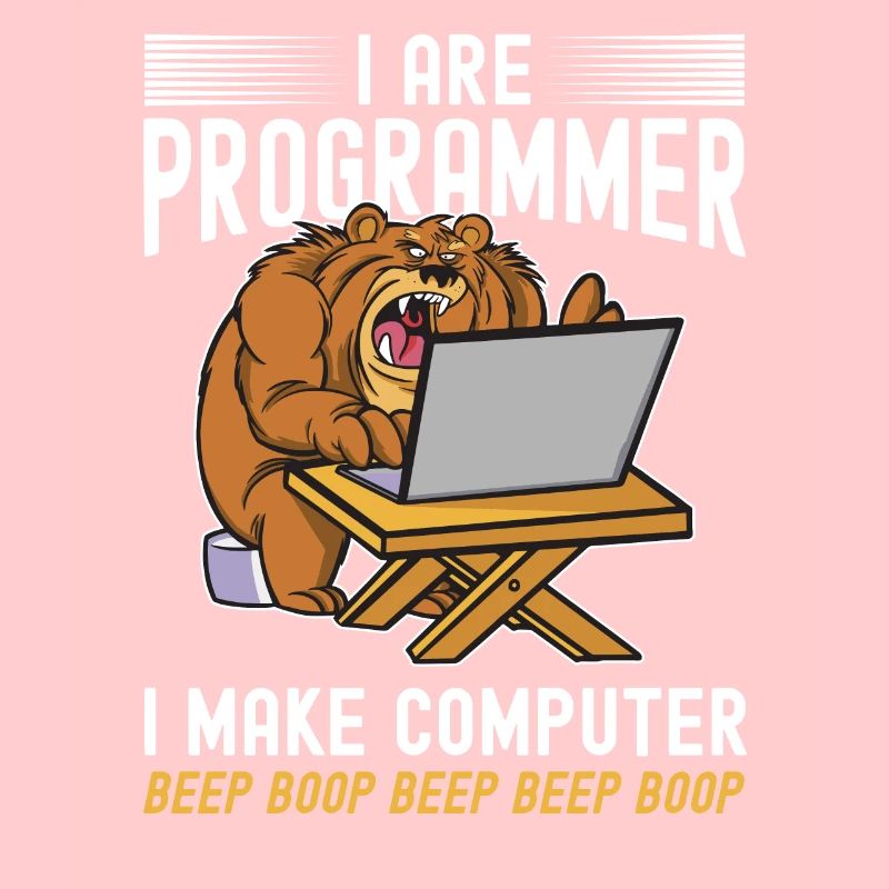 i am a programmer