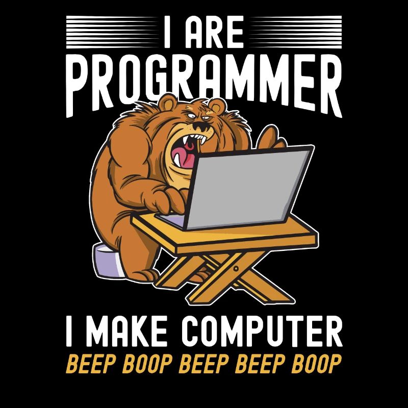 i am a programmer