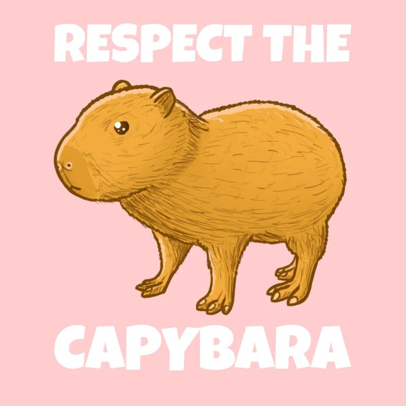 Capybara Meme
