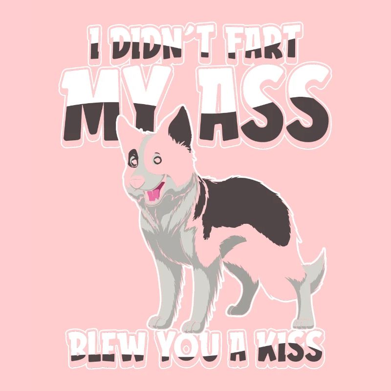 Border Collie Funny