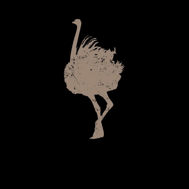 Strauß Afrika Laufvogel
