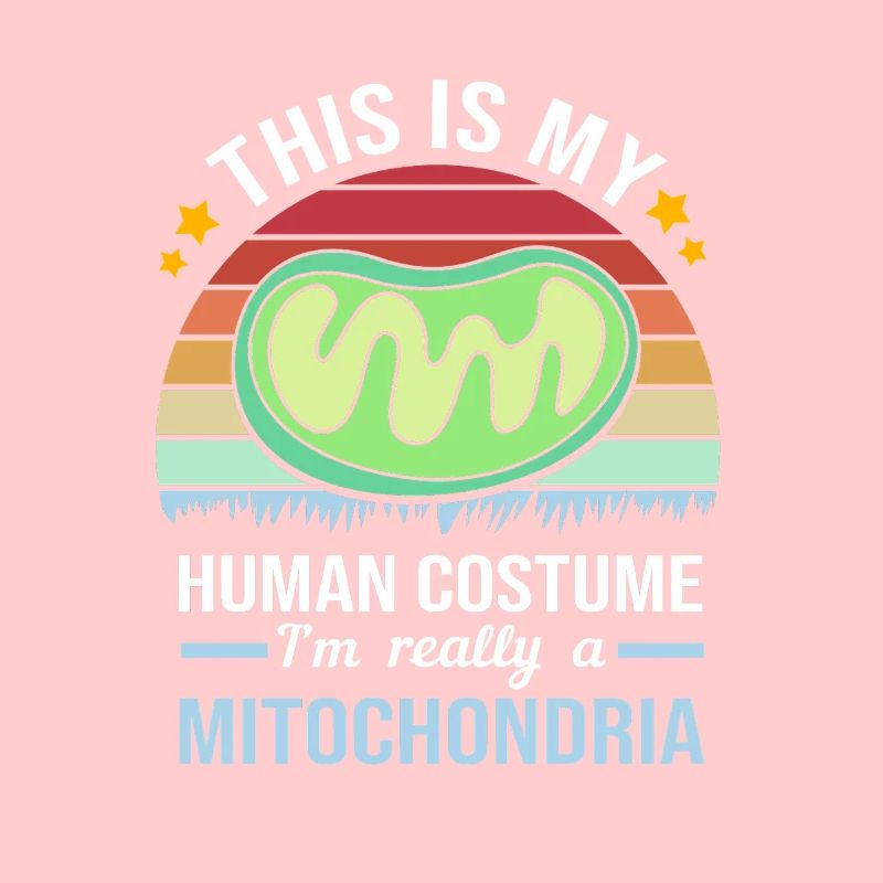 Formule structurelle de la molécule