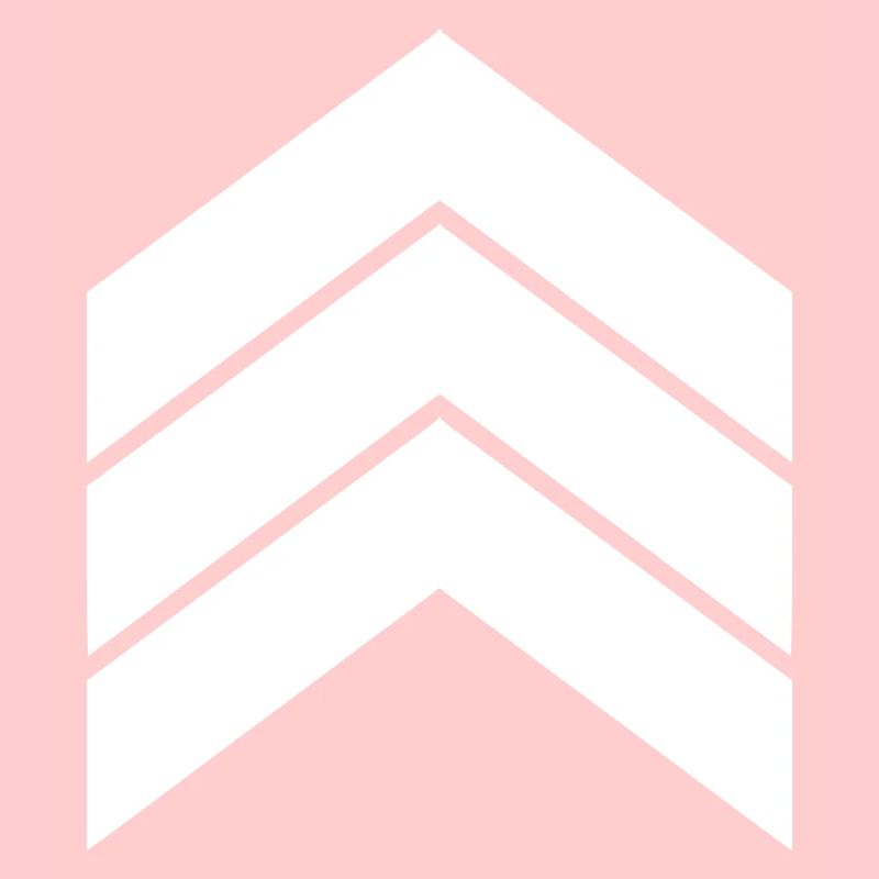 trois flèches blanches