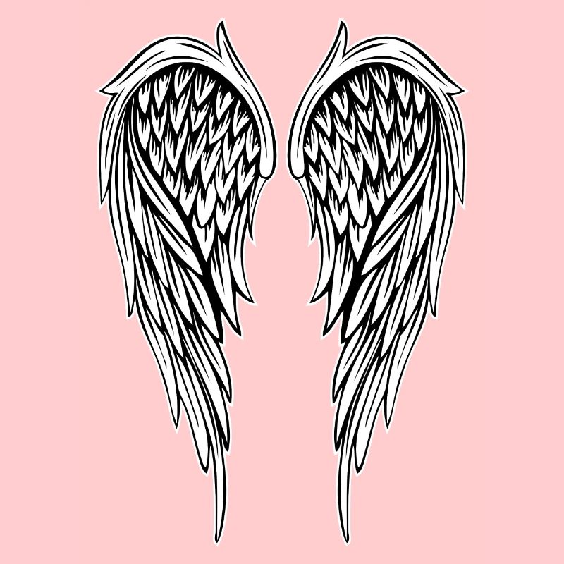 Angel Wing Angel Wings - Large Version