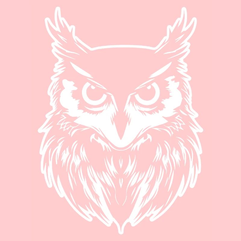 Eule Eulen Vogel Vögel