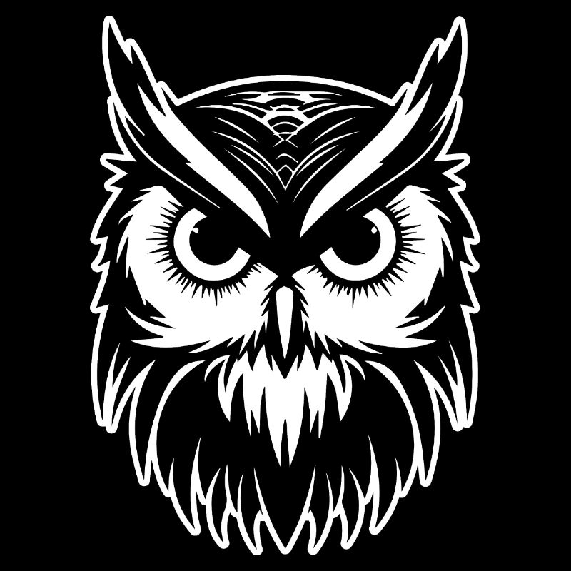 Eule Eulen Vogel Vögel