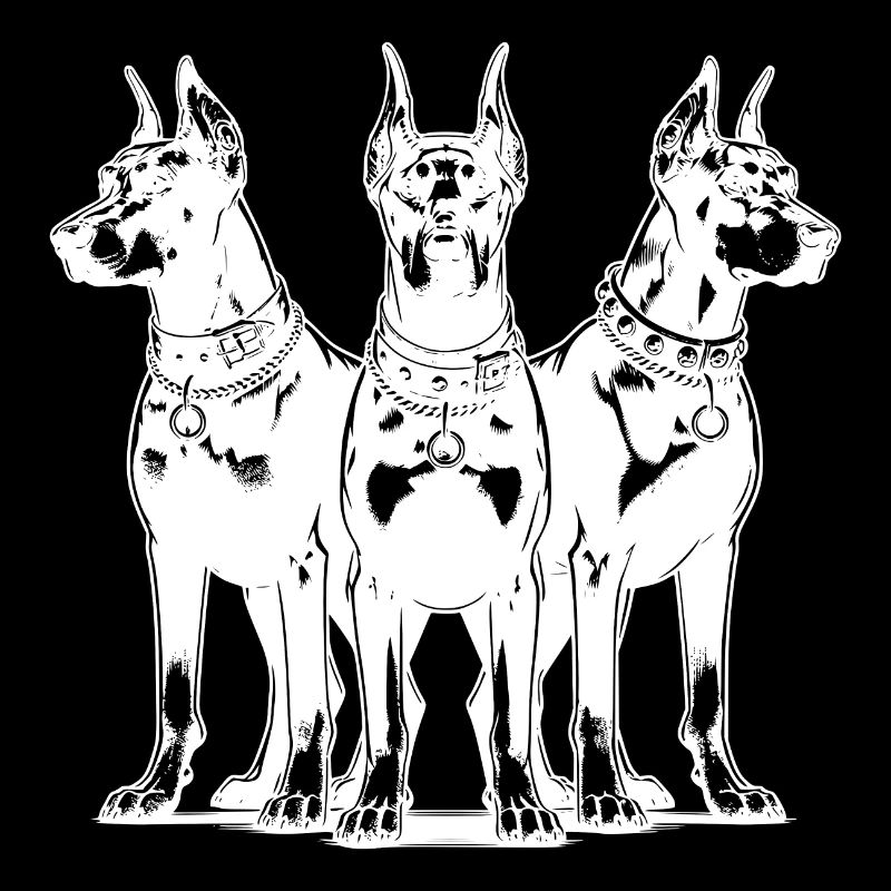 Dobermänner Hunde als dreier Wachgruppe