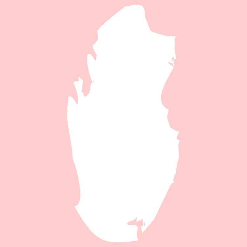 Qatar map flag