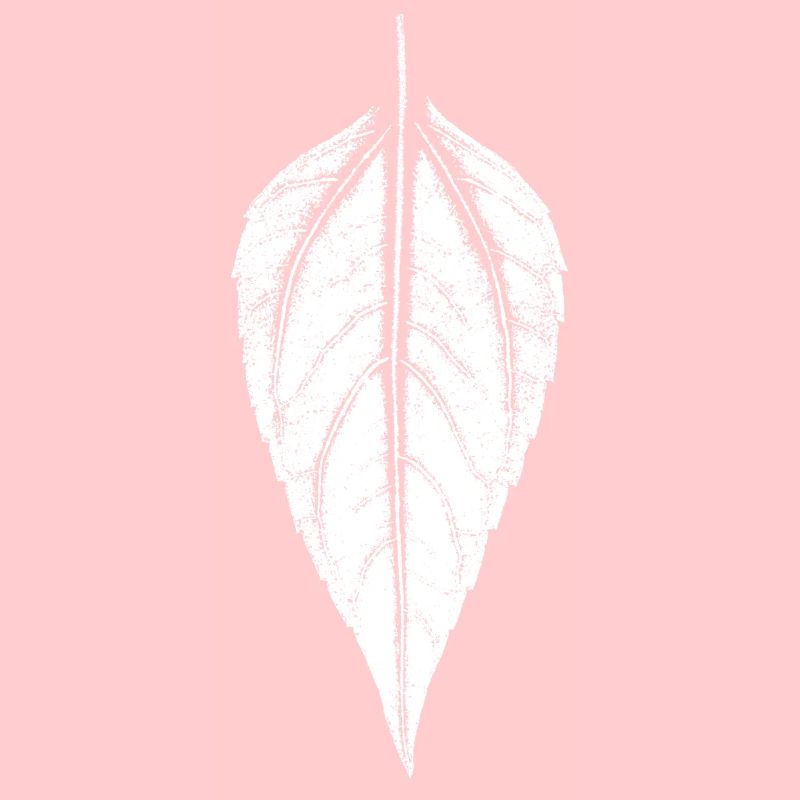 Leaf Jerusalem artichoke - WHITE