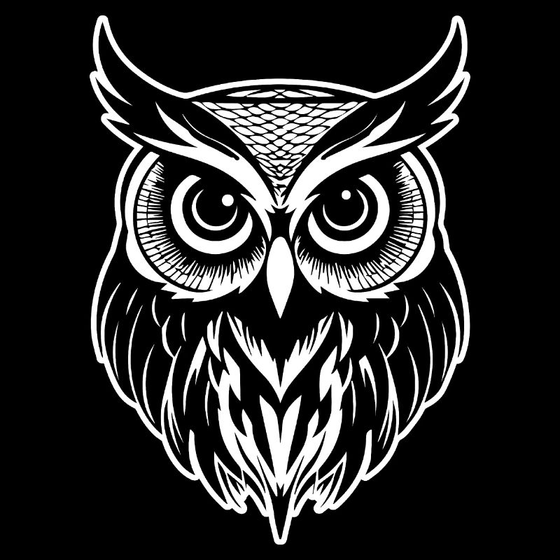 Eule Eulen Vogel Vögel