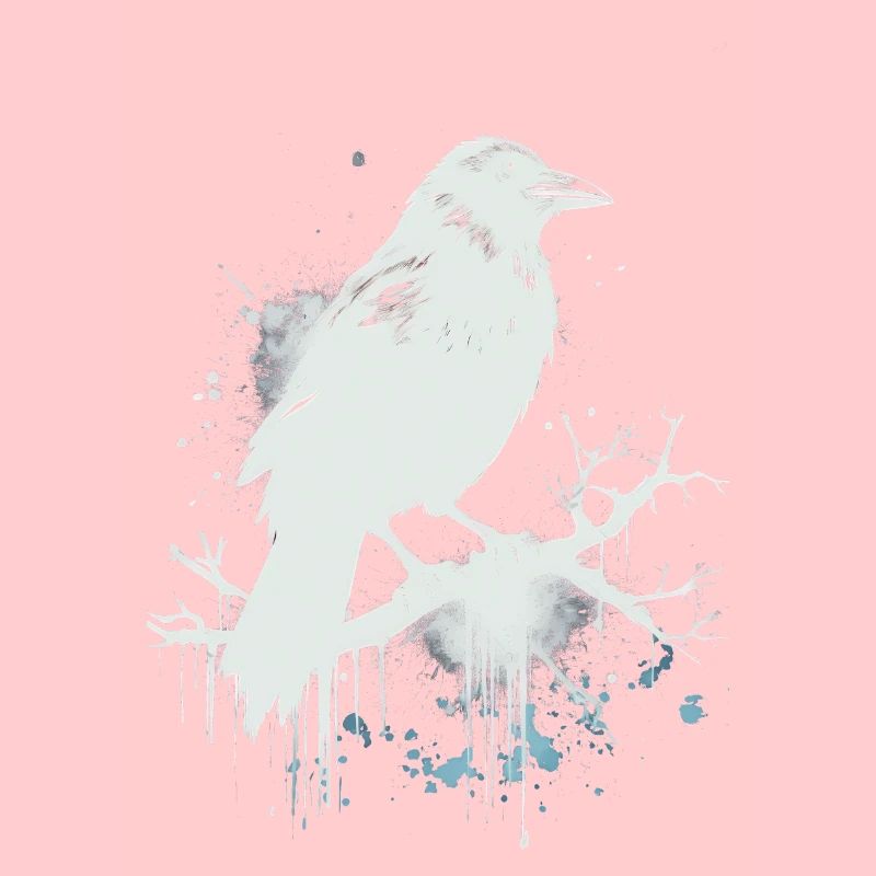 White Raven, Crow as Ink Sketch