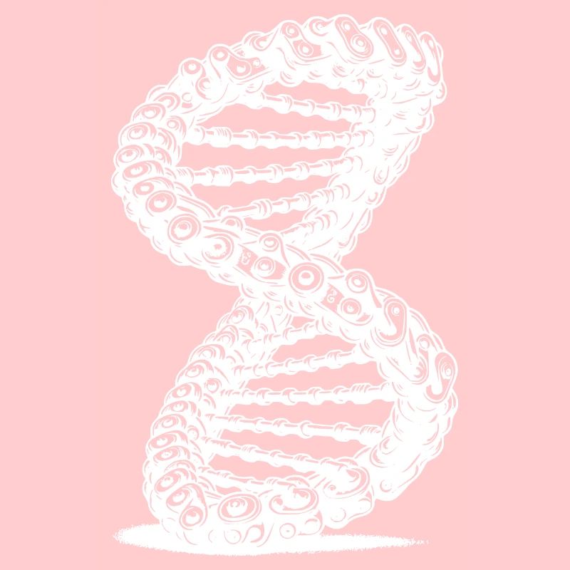 Twisted Möbius Loop Chain DNA Möbius Ribbon