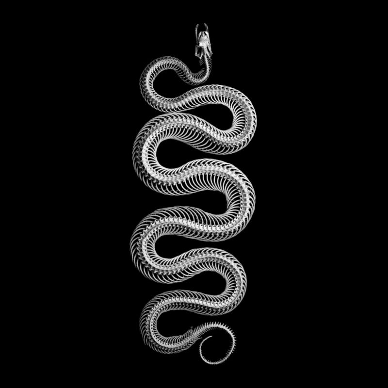 Snake Tee