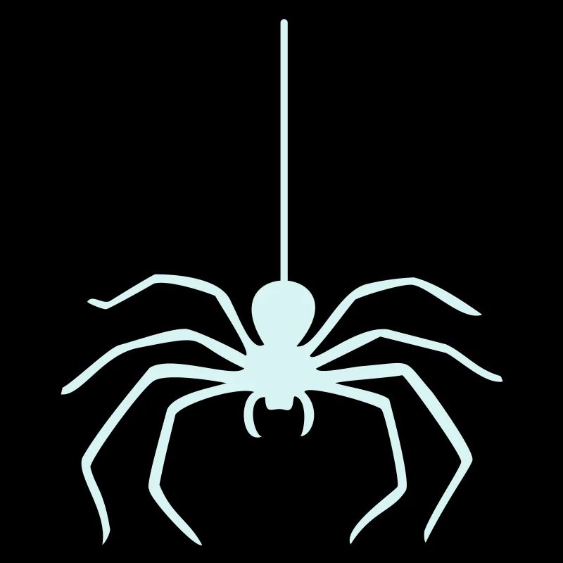 Spider / Spinne