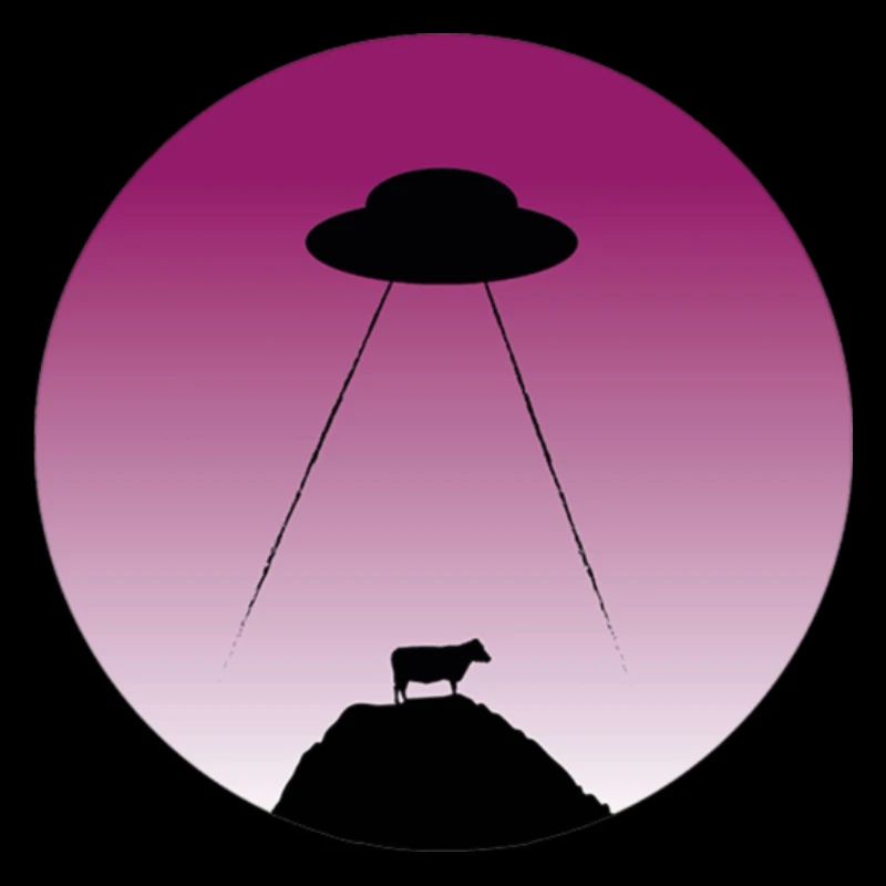 Alien abduction