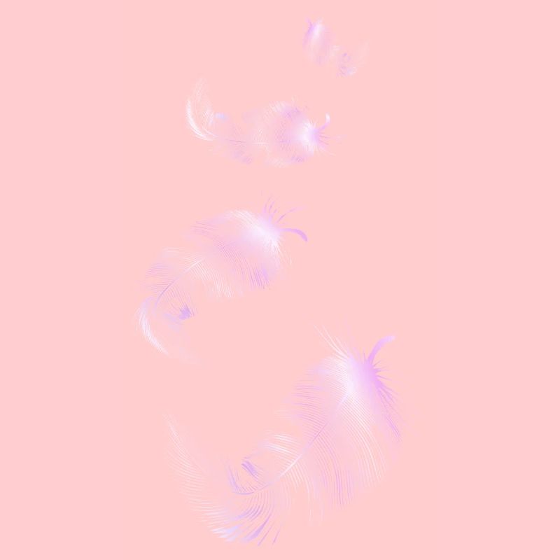 four soft pink feathers