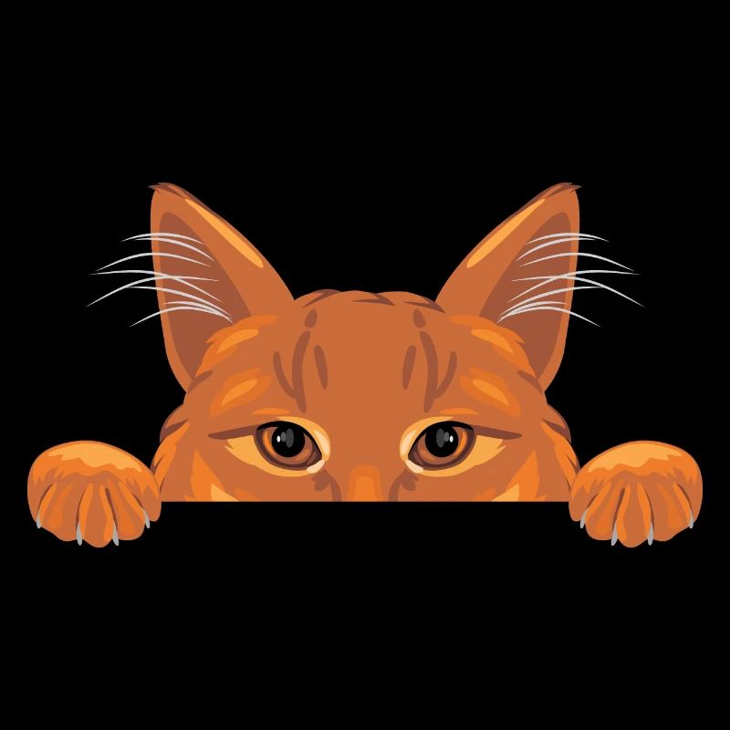 Chat au gingembre