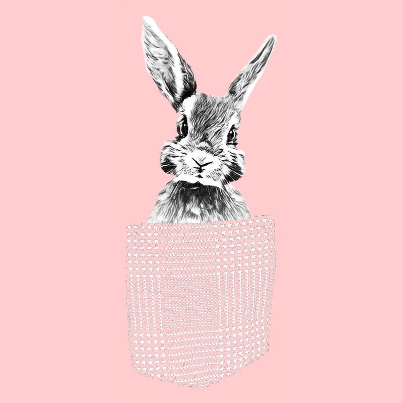 Lapin dans la poche de poitrine
