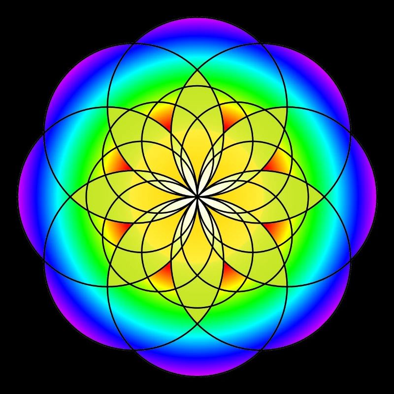 Regenbogenkreisblume