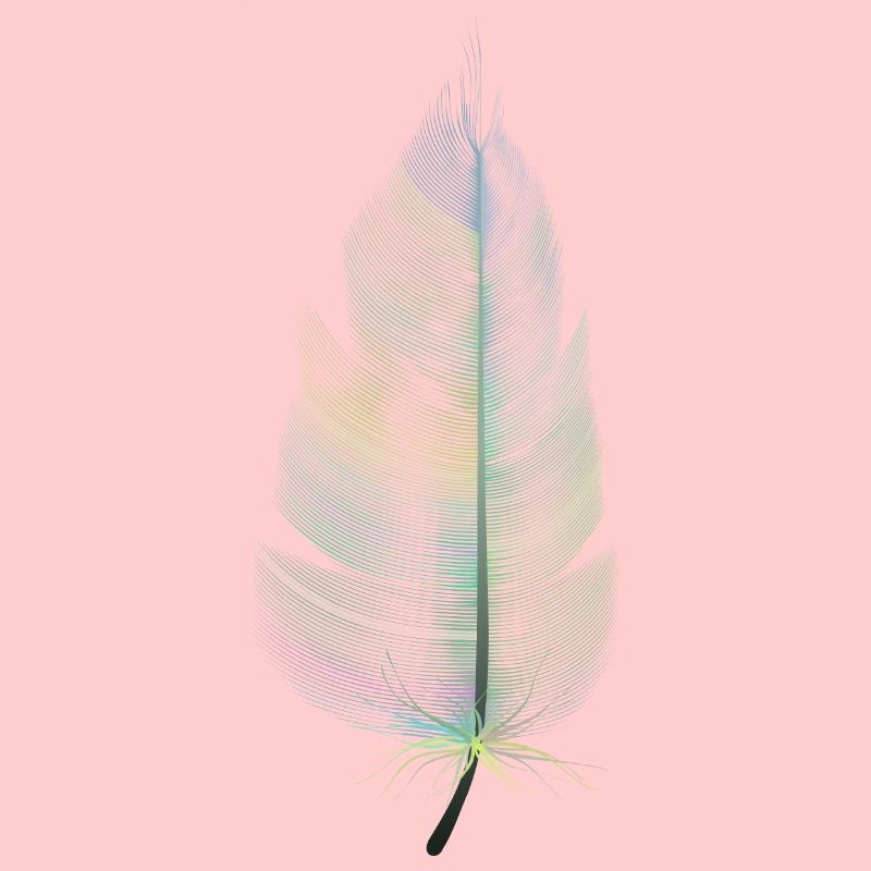 colored feather