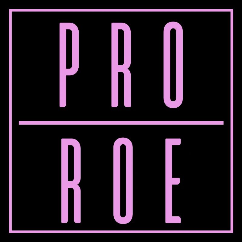 Womens Rights Roe v Wade Reproductive Rights 1973
