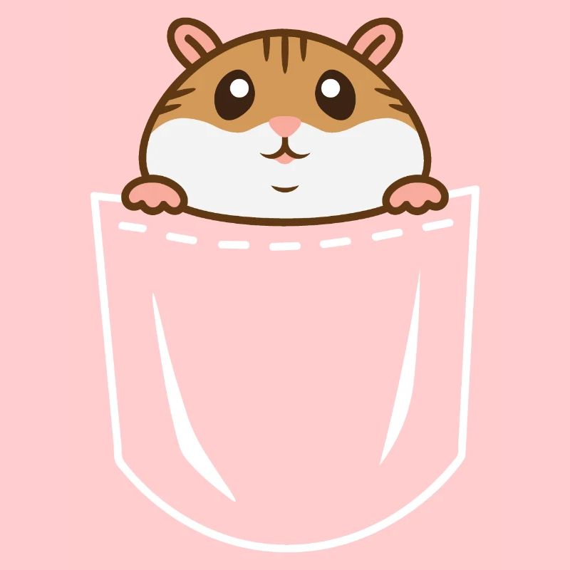 Hamster ventre